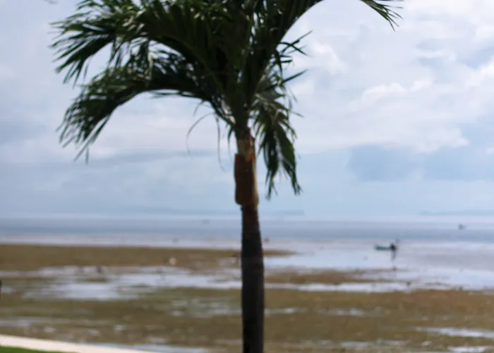 Resort The Beachhouse Cebu Dalaguete